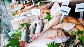Эксперты прокомментировали ограничение РФ экспорта армянской рыбопродукции